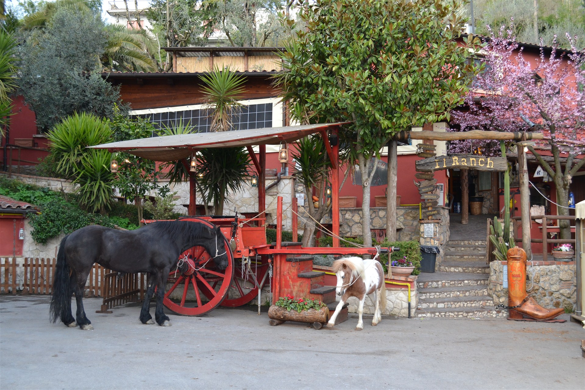 Carro e Cavalli - Pizzeria Il Ranch